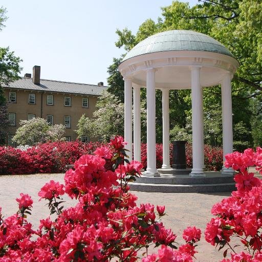 UNCNSSLHA's profile picture. UNC Chapel Hill's undergraduate division of the National Student Speech-Language Hearing Association.