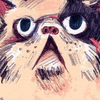 Maia Fjord (@maiafjord) 's Twitter Profile
