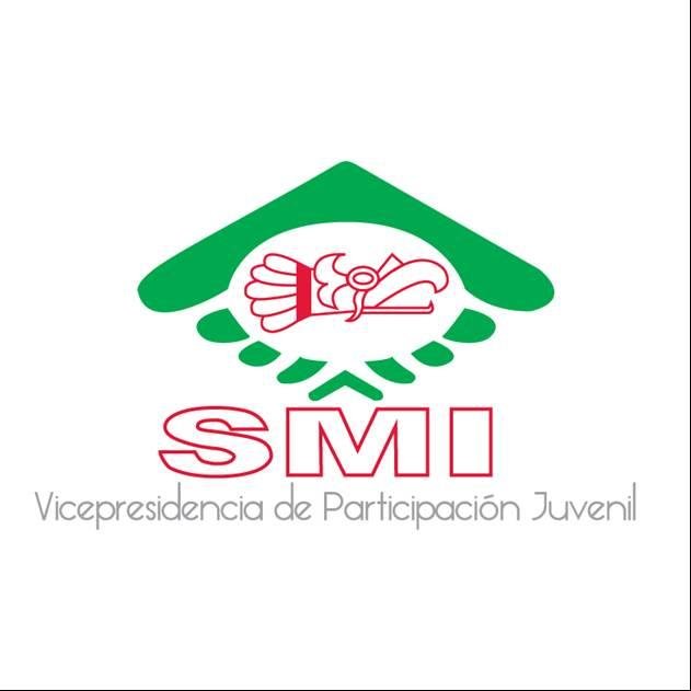 Sociedad Mexicana de Ingenieros, sección Juvenil del Estado de Yucatán.