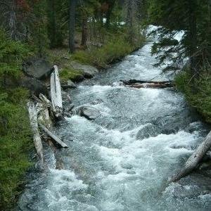 Upper Deschutes Watershed Council (UDWC) protects & restores  2,000,000-acre upper Deschutes River watershed via restoration, monitoring & community awareness.