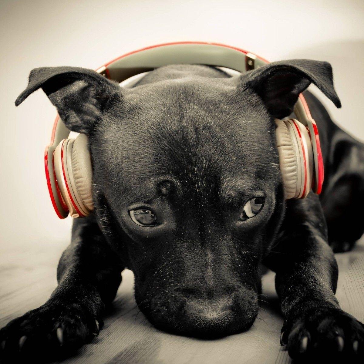 _mithos_'s profile picture. 