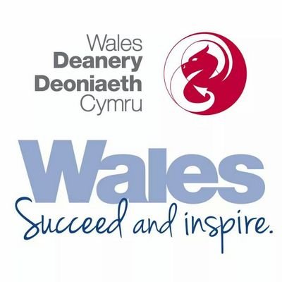 A forum for current (and future) Core Surgical Trainees in Wales to interact, network and socialise to maximise training potential
