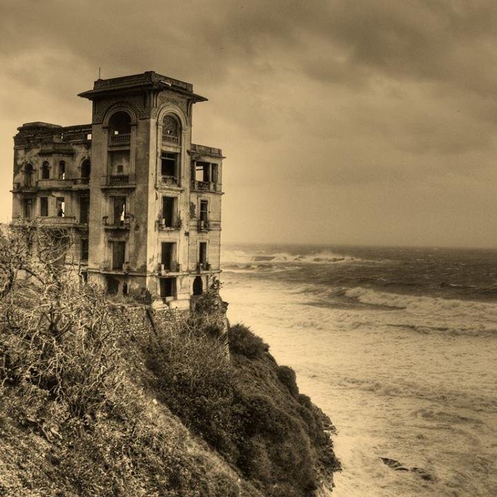 alagaffe's profile picture. Idéologue