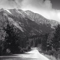 Singing Cath (@singingcath) 's Twitter Profile Photo