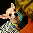 meetel (@0806Meetel) Twitter