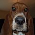 Ron Johnston (@rontideroll) Twitter profile photo