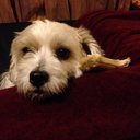 Esther Gloria Dawes - @EstherDawes - Twitter