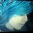 Lexi_Lollip0p's profile image