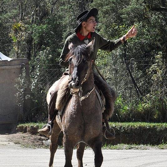 JardelGondro's profile picture. 