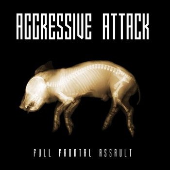 Aggressive Attack #INDUSTRIAL #ELECTRONIC #EBM We make music. We make ears bleed.