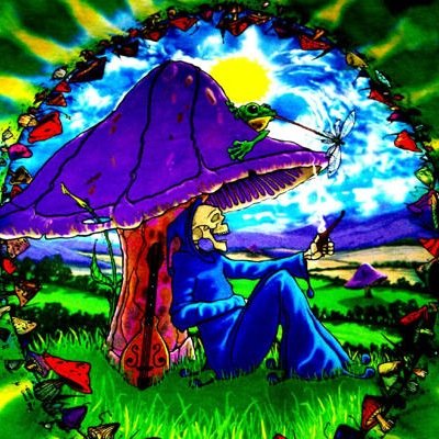 just two bros,stayin medicated, completely legal. stay lifted