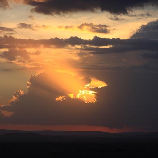 scarecr0w99's profile picture. 