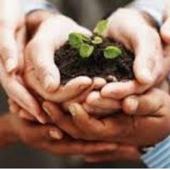 ND Community Engagement creates the space and networks for authentic participation, questioning, & dialogue to build and strengthen our community.
