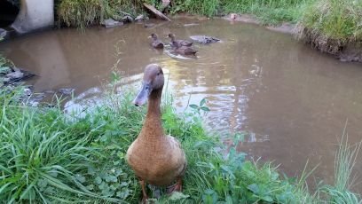 leastYouTried's profile picture. diversity.