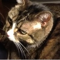 arf (@sandrafreeman6) 's Twitter Profile