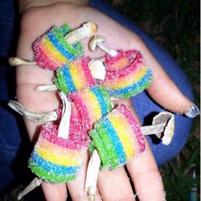 DrugsOverBitch Profile Picture