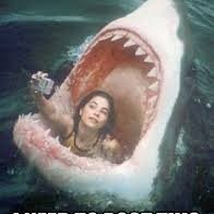 For people who take selfies in the most ridiculous places at the most stupid times without realising what an idiot they look.
Send in your Selfie Idiot photos