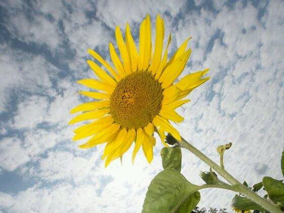 Life goes by the blink of a eye, appreciate the moments
