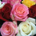 Grace Friend - @Gracefriend101 - Twitter