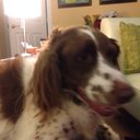 Barb Ford - @easywaygourmet1 - Twitter