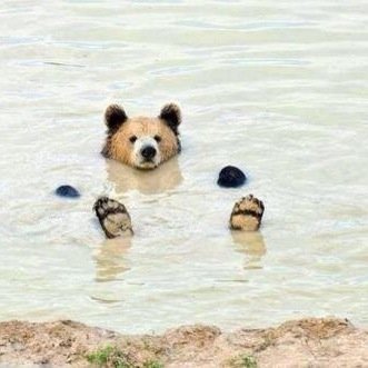 Glosbe_xxx's profile picture. アンニュイだったり儚げだったり