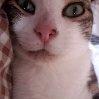 must (@mountingfriday) 's Twitter Profile