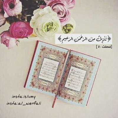 حساب اسلامي لنشر القيم الاسلاميه الجميلة كفى بالاسلام ديناً ❤️