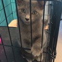 ryan riddle - @ryanriddle714 - Twitter