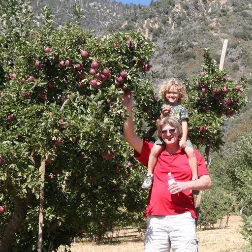 FirstFiveFlips's profile picture. I enjoy the challenge and reward of flipping houses and just wrote a book about my first several house flips called, First Five Flips.  I have a wife and son.