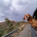 Eva Benavides - @Czechmate78Eva - Twitter