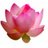 luxworldyoga's profile image