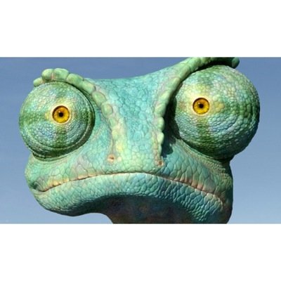 TheFamousLizard's profile picture. I like sneaking under your kitchen sink and anywhere moist.