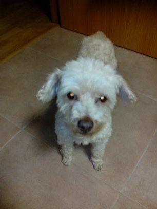 varcosm's profile picture. 