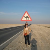 Colleen Heffernan (@cocoheff) 's Twitter Profile