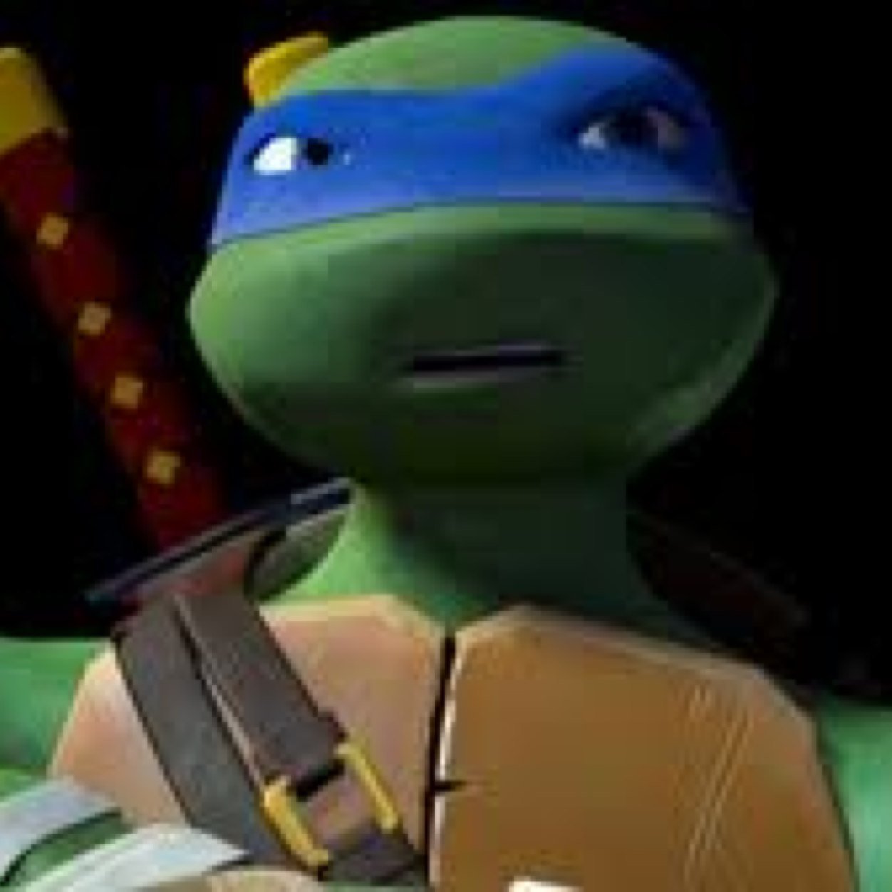 My name is leonardo but call me leo im the leader and have three brothers my sensai is splinter #singleandlooking