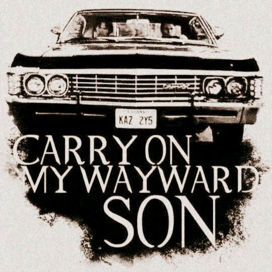 spnimpala1's profile picture. 