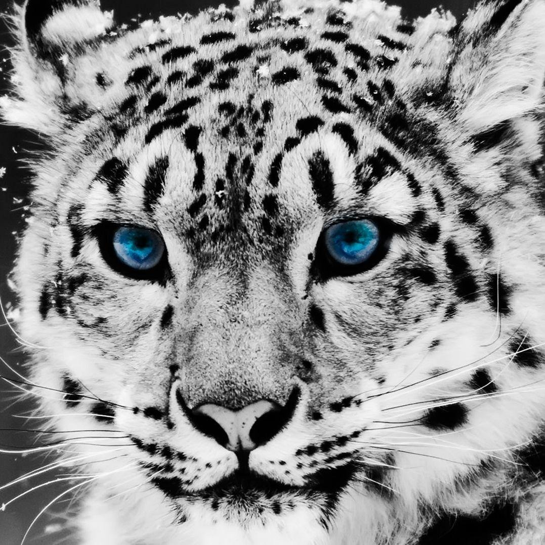 PS4_souq's profile picture. أعرض العاب PS4 بأسعار أقل من السوق بكثير