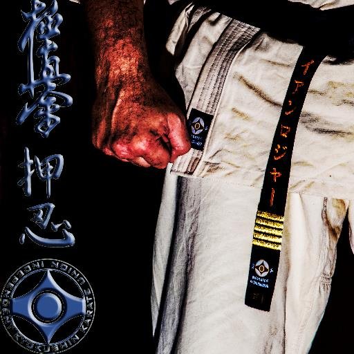 theIKKU's profile picture. Independent Kyokushin Karate Union