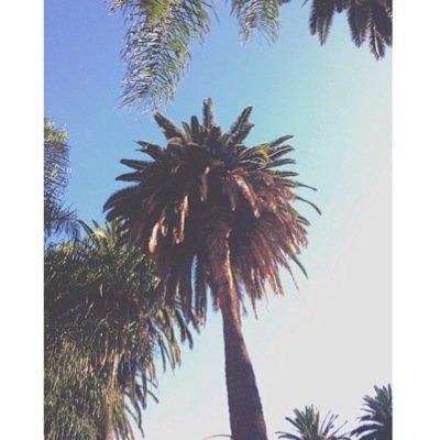 paradise