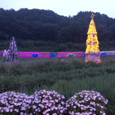 LaurenK84063603's profile picture. 