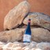 Celler Esteve Gibert (@esteve_gibert) Twitter profile photo
