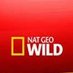 Net Geo Wild (@netgeowild1) Twitter profile photo