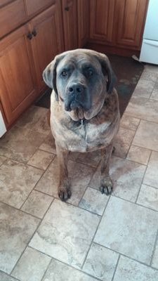 AmaAngela40's profile picture. 