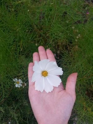 전갈자리 B형 녀자. 언어치료사&대학원생. 인디 밴드. 책보기. 영화보기. 공연보기. 걷기. 수영. 자장구.