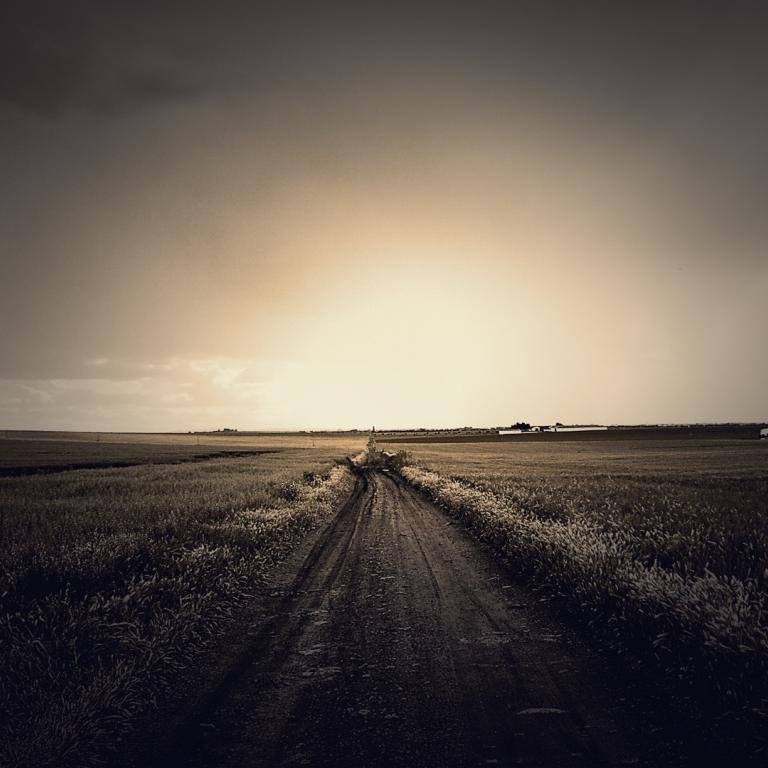 SimpelKata's profile picture. 