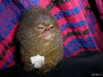 SueSSja's profile picture. Einerseits angenehm, andererseits pflegeleicht.
DAS IST DIE IDEALE MISCHUNG. (c)