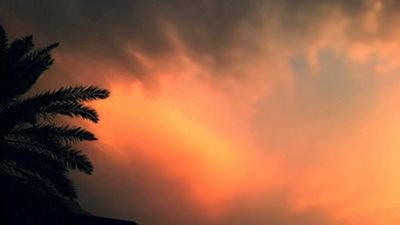 Tulebs_naa's profile picture. 