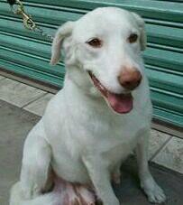 MarMBC Profile Picture