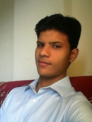 software developer