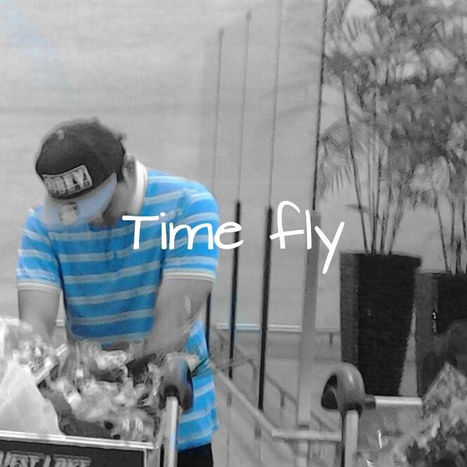 time flies and you keep breaking it wings